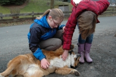 01.03.2013 Lama-Tour für Kinder