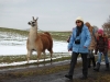 lama_03_13_019