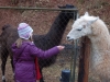 lama_03_13_053