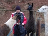lama_03_13_056