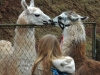 lamanokia_03_13_012