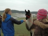 lamanokia_03_13_038