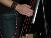 boptowncats_030