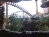 phan_13_087