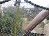 phan_13_095
