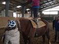 0504_reiten_008