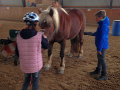 ofp2017_reiten_01