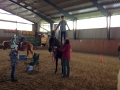 ofp2017_reiten_10