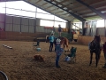ofp2017_reiten_11