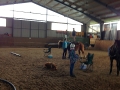 ofp2017_reiten_12