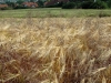 fotokurs_096
