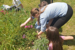 10.05.2025 Garten AG