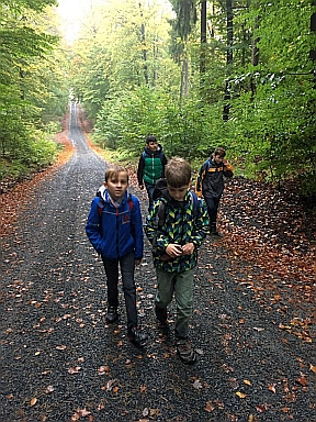 1010_waldtage_2017_35