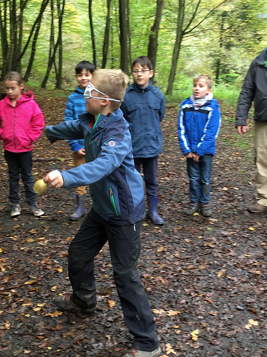 1010_waldtage_2017_56