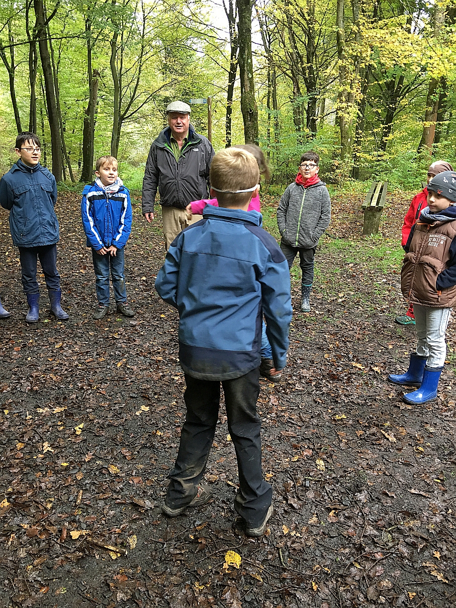 1010_waldtage_2017_57