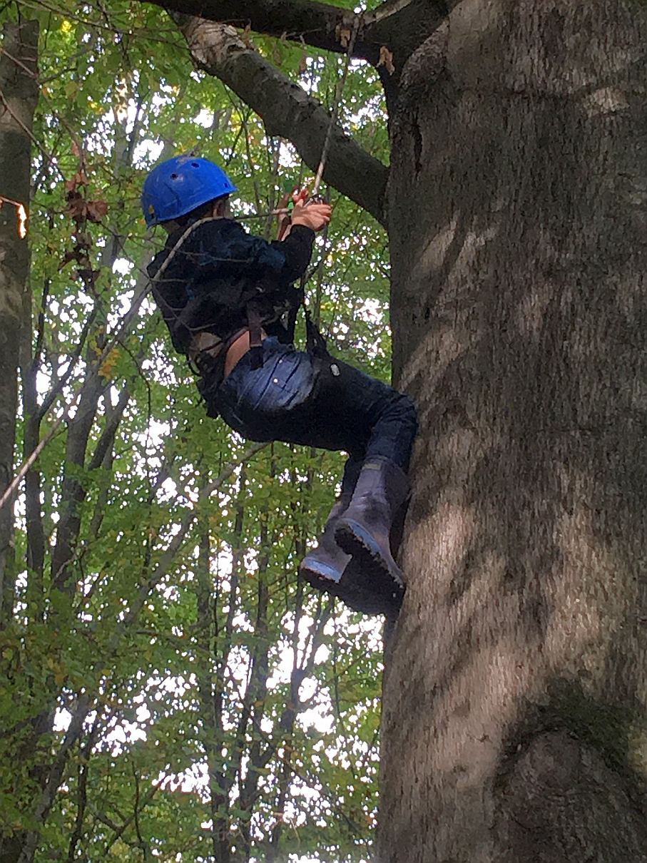 1010_waldtage_2017_78