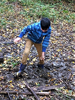 1010_waldtage_2017_83