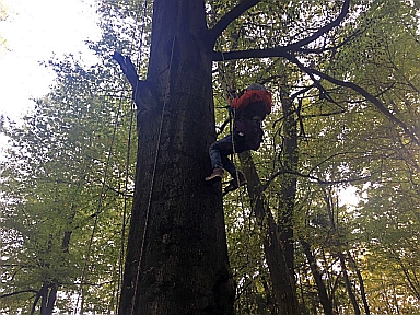 1010_waldtage_2017_90