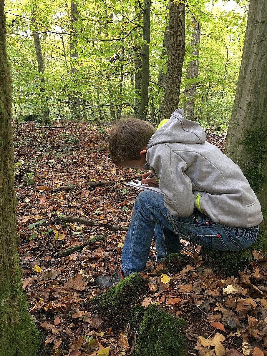 1010_waldtage_2017_94