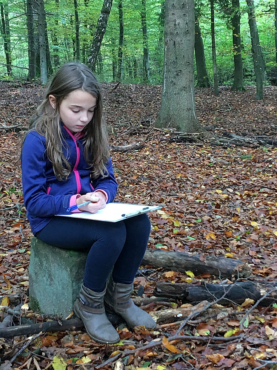 1010_waldtage_2017_98