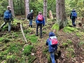 1010_waldtage_2017_28