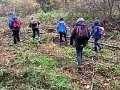 1010_waldtage_2017_34