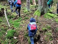 1010_waldtage_2017_36
