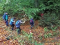 1010_waldtage_2017_37