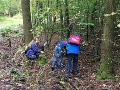 1010_waldtage_2017_45