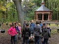 1010_waldtage_2017_68