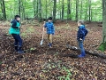1010_waldtage_2017_80