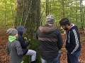 1010_waldtage_2017_87