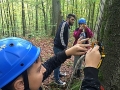 1010_waldtage_2017_88