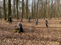 1104waldtage_001