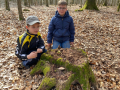 1104waldtage_011