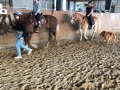 reiten_hfp_2018_007