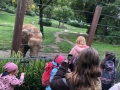 opelzoo1210_001