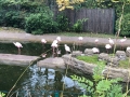 opelzoo1210_007