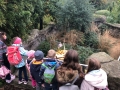 opelzoo1210_010