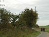 apfelernte_072