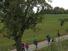 apfelernte_088