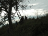 apfelernte_093