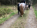 14u2304reiten_009