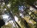 kletterwald1510_007