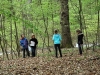 OFP_2014_31