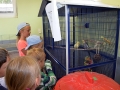ferienspiele_2015_130