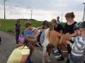 ferienspiele_2015_159