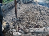 kartoffelfeuer_010