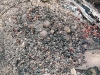 kartoffelfeuer_019