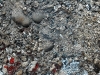 kartoffelfeuer_034